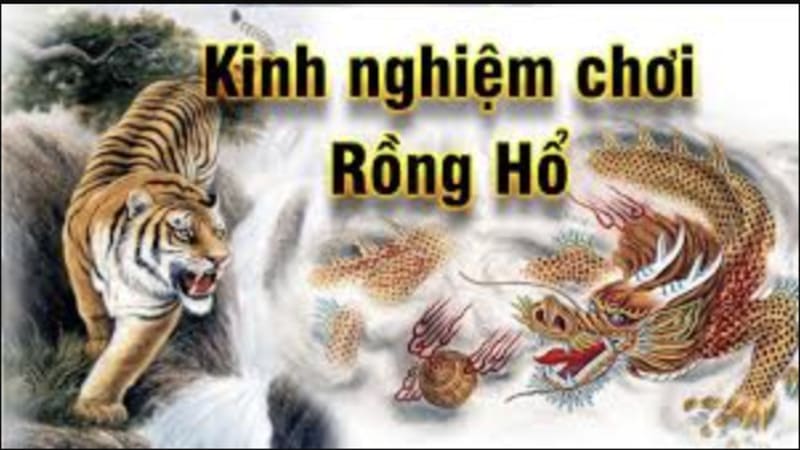 Tại sao cần áp dụng kỹ thuật soi cầu khi chơi Rồng Hổ?