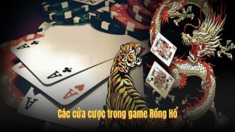 Bí kíp thực chiến bắt chuỗi thắng lớn